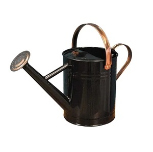 Arrosoir en métal de bonne qualité design moderne pour les plantes d'extérieur et d'intérieur fleurs arrosoir maison jardin quantité en vrac 2023 - Product Image 5