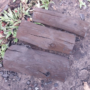 Vietnam BBQ bâton charbon de bois cylindrique morceau de bois de mangrove charbon de bois de mangrove - Product Image 1