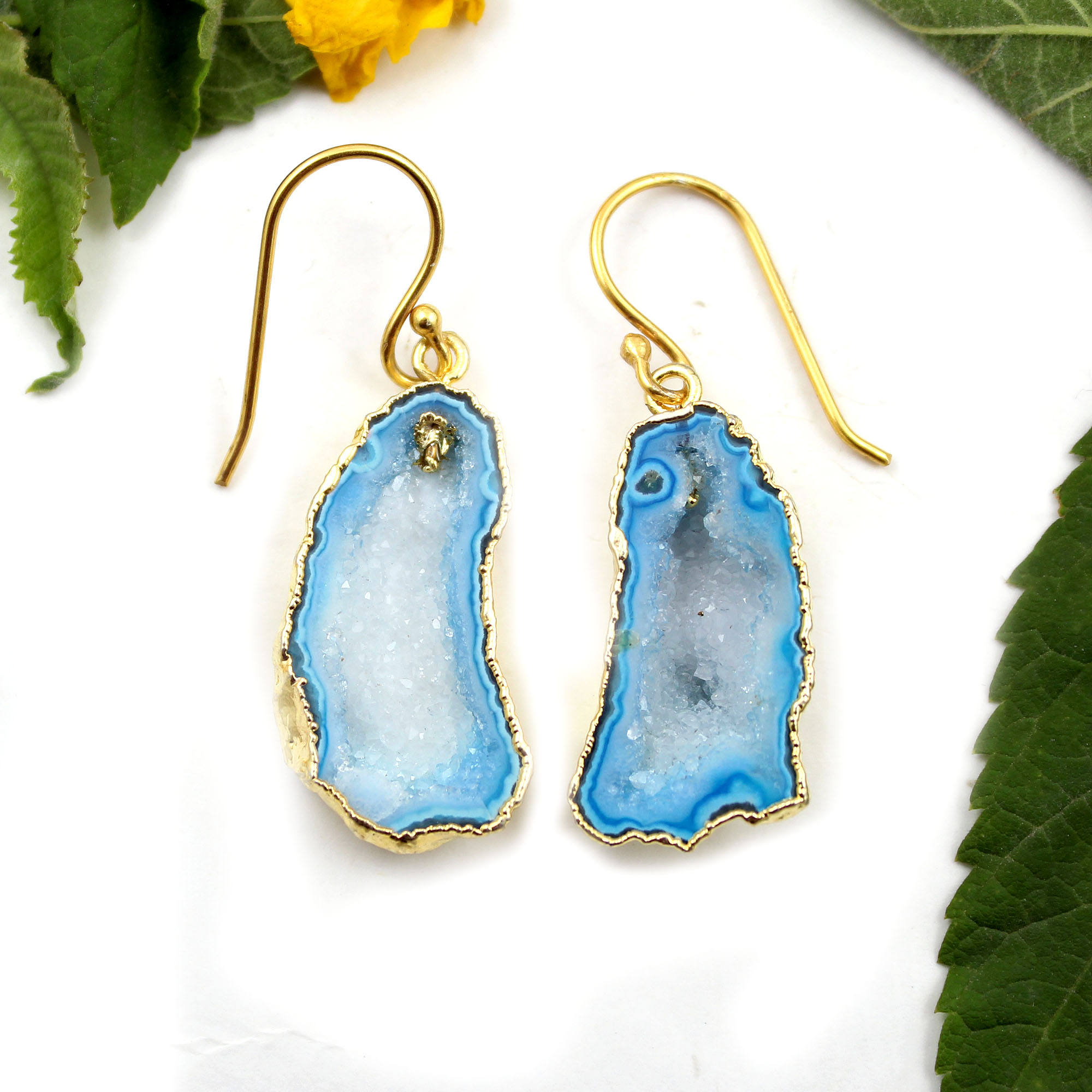 จีโอดดรูซี่