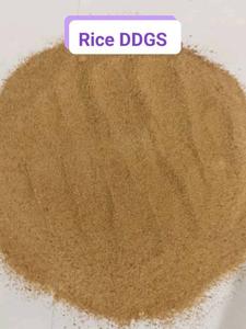 ข้าว DDGS - ข้าวกลั่นแห้งที่มีสารละลายสำหรับอาหารสัตว์ พร้อมส่งออก คุณภาพสูง - Product Image 3