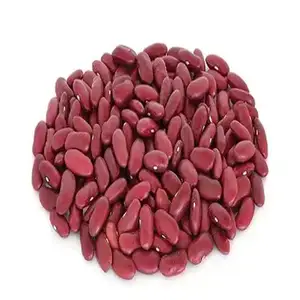 Proveedor de Frijoles Rojos de primera calidad para compradores mayoristas: legumbres ricas en nutrientes y de alta calidad a precios competitivos