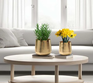 Juego de macetas de Metal de diseño acanalado para el hogar y la Oficina, macetas decorativas para interiores y exteriores para jardín y balcón, decoración del hogar - Product Image 2