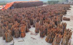 Buena especia con palitos de canela de Vietnam - Product Image 5