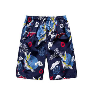 Traje de baño estampado informal de talla grande, ropa deportiva con cordón, ropa de playa para hombre, bañadores de Surf de secado rápido, pantalones cortos para hombre - Product Image 2