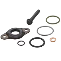 Kit de joints toriques d'étanchéité pour injecteur diesel A4600700887 – Composants de réparation robustes pour buse de moteur