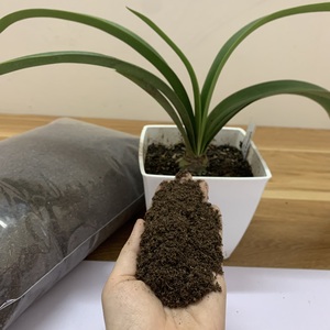 High-Quality Peat Moss From Vietnam - Premium Quality Growing Media - Product Image 3