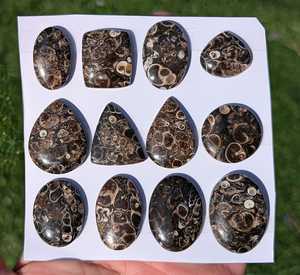 พลอยเทอร์ริเทลล่าอาเกตสีน้ำตาล เกรด AA+ สำหรับงานฝีมือเครื่องประดับ สะสมพลังงานจากธรรมชาติ ลวดลายหายากที่ได้รับการรับรอง - Product Image 1