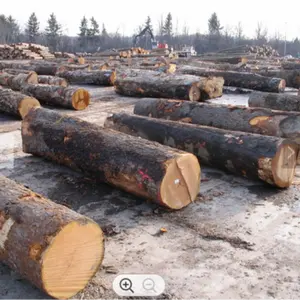 Doussie-troncos de madera redondos de alta calidad, madera de teca, Tali , Padouk