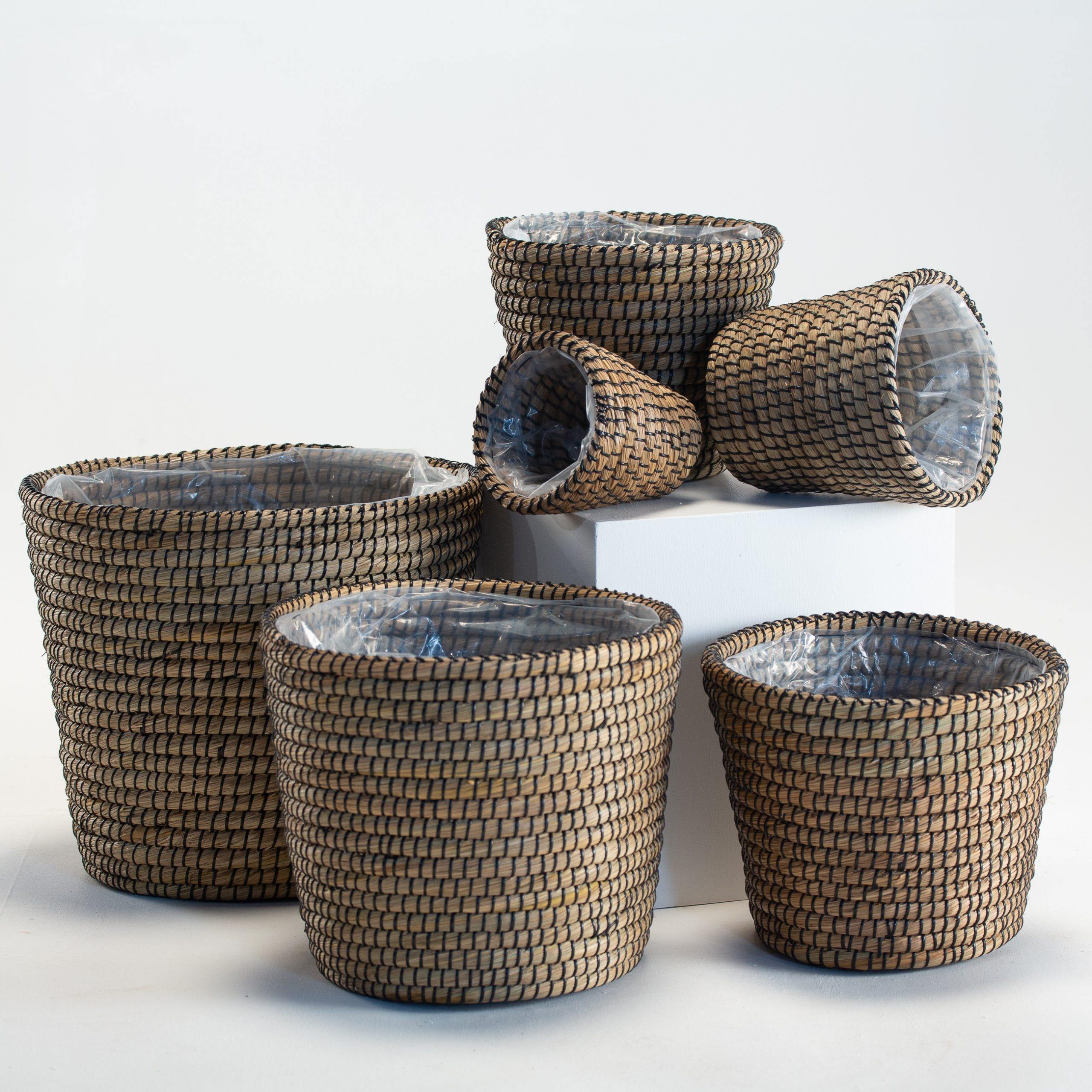 ธรรมชาติ