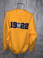 Sweat-shirts à capuche personnalisés de style grec, année de fondation, OEM, étiquette privée, fabricant de vêtements pour collèges