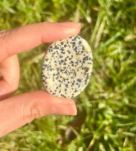 Pierre précieuse de poche polie en agate de jaspe dalmatien naturel élégant pour l'énergie de guérison Feng Shui Love Home Decor - Product Image 3