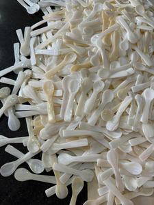 Cuillère à conque vietnamienne écologique-Cuillère élégante en nacre-Vaisselle durable pour les desserts d'exportation et la gastronomie - Product Image 2