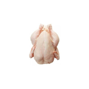 Viande de poulet congelée entière de volaille fraîche de qualité supérieure la plus vendue à bas prix - Product Image 4