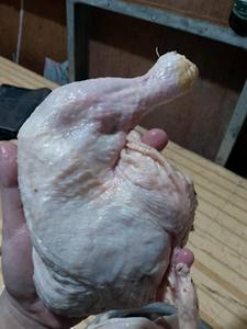 Muslos de Pollo Halal Congelados 170g en Venta, Muslos de Pollo Congelados en Acero Inoxidable - Product Image 6