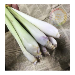 Gran cantidad de tallos de hierba de limón congelados, producto listo para exportar para canales mayoristas y de servicio de alimentos - Product Image 6