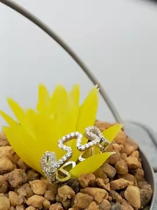 100% satisfacción garantizada anillo de bodas de compromiso solitario personalizable 14K 18K oro 925 anillo de plata esterlina para regalo - Product Image 2