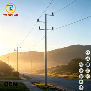 <span class=keywords><strong>Postes</strong></span> Metálicos de Acero <span class=keywords><strong>para</strong></span> <span class=keywords><strong>Redes</strong></span> Eléctricas y Telecomunicaciones en Ciudades Pequeñas, Rentables y Económicos - Product Image 1