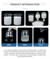 Additif pour mastic mural 100000cps 200000cps Poudre blanche HPMC Éther de cellulose