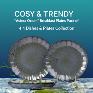 ชุดจานอาหารเช้า 'Astera Ocean' สุดเก๋ไก๋และทันสมัย แพ็ค 4 ชิ้น คอลเลคชั่นจานและชาม - Product Image 3