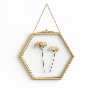 Latest New Arrival Hexagon Shape Brass <b>Frame</b> Clear Glass Hanging <b>Photo</b> <b>Frame</b> Pressed Flower Decorate Wedding Home Office Decors - Product Image 6