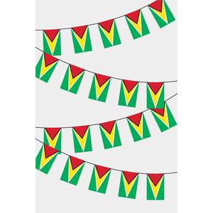 Guirlande de drapeaux rectangulaires de la Guyane pour décorations de fête - Product Image 1