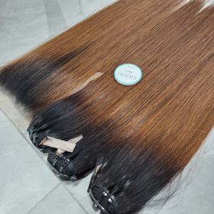 Ombre Color hueso recto doble dibujado virgen vietnamita paquetes de cabello humano con cierre paquetes de cabello virgen con cierre - Product Image 3