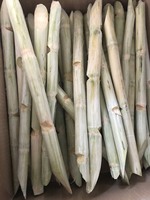 Direct Field Fresh Frozen Whole Shell Raw Sugarcane Juice Premium Vietnam Agriculture GIMEX VIETNAM 3 Year Shelf Life Carton
