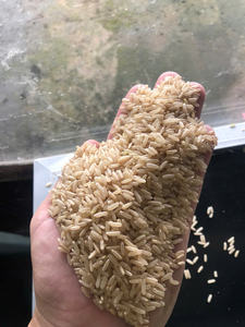 Arroz Integral de Alta Calidad de Vietnam, Cosecha de Nueva Temporada con Soporte para OEM y Exportación - Product Image 3