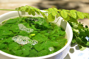 มะรุมอบแห้งคุณภาพสูงจากธรรมชาติ 100% ต้นกําเนิดจากเวียดนามในราคาต่ําดีต่อสุขภาพ - Product Image 5