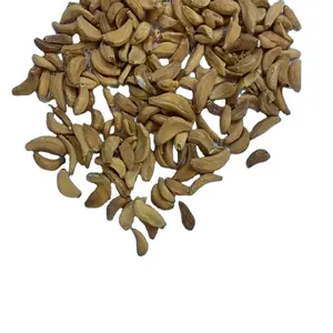 Best Export 2024 Dried Garlic With Cheap Price In Bulk Ready To Export