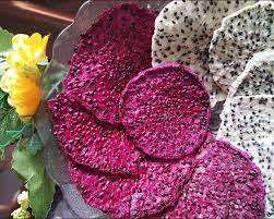 FRUITS DU DRAGON SÉCHÉS EN VRAC DE HAUTE QUALITÉ NORME D'EXPORTATION DU VIETNAM DISPONIBLE COLLATION NATURELLE VENTE CHAUDE 2025 - Product Image 6