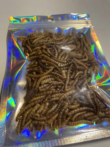 หนอนอาหารแช่แข็งขายส่งส่งถึงประตูบ้านคุณแล้ว - Product Image 6