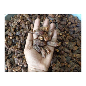 Dátiles secos de envío rápido para distribución a gran escala y reventa - Product Image 4