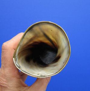 Logo personnalisé court corne à boire corne de buffle tasse à la main Viking Ange Style Durable pour les fêtes mariage décor et cadeaux - Product Image 2