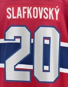 Camisetas de Hockey sobre Hielo Personalizables, Impresas por Transferencia de Calor, para Hombres y Mujeres Adultos, 100% Poliéster, Transpirables, Sin Costuras, 220g, Servicio OEM - Product Image 3