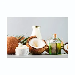 Hoge Kwaliteit Natuurlijke Kokospalmsuiker Origineel Uit Thailand Beste Kwaliteit Suiker