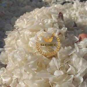 Escamas de pescado seco de fabricación para exportación/escamas de pescado seco Ossein/escamas de pescado Talapia de alta calidad de Vietnam - Product Image 4