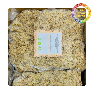 Wild Harvested Natural Sea <b>Moss</b> Cleaned and <b>Dried</b> for Wholesale Supply - Product Image 2