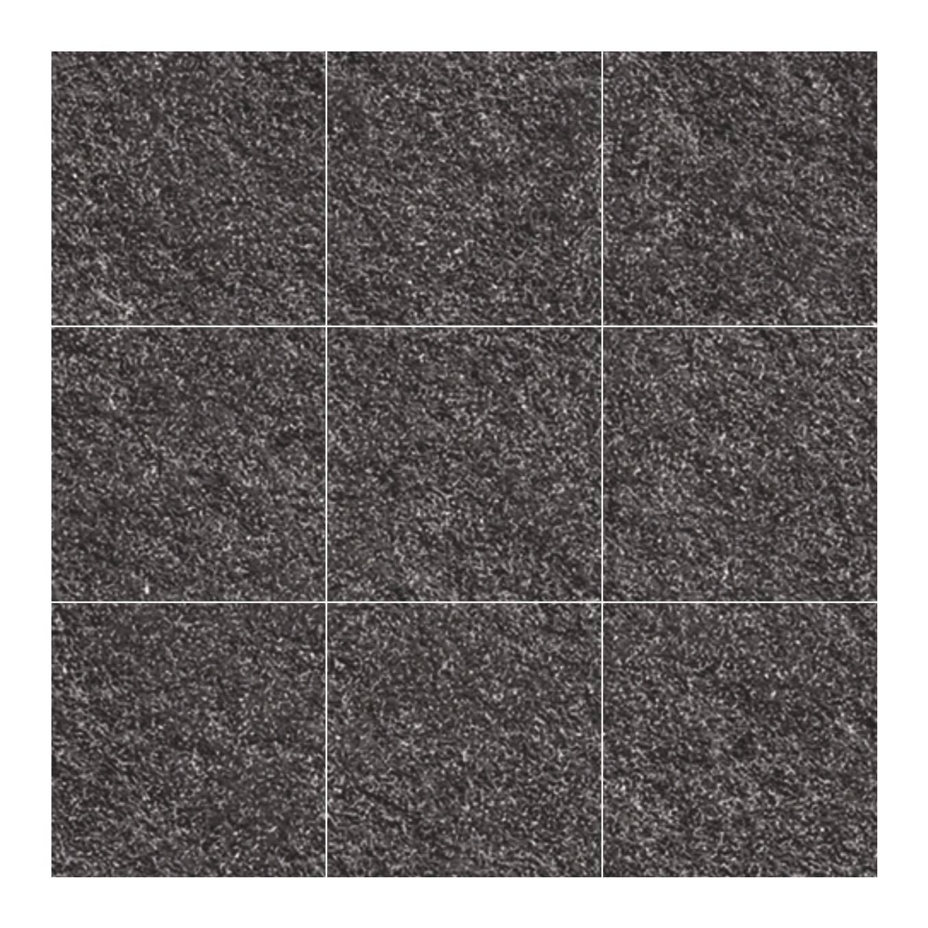 Rustic Punch Graphite