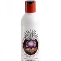 Vivita Aloe VENT 324 Champú en Gel Unisex 250ml, 12 Unidades por Caja, Fórmula Concentrada Orgánica Sin Silicona para Reparación del Cabello