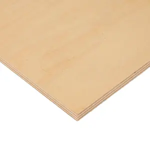 Vendita calda di compensato di betulla MR interior BB/BB 18 mm S2 E1 1525x1525 qualità plywoods in vendita