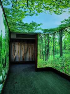 Plafond tendu de haute qualité pour l'intérieur du salon - Product Image 5