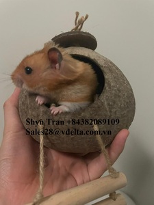 Tự Nhiên Vỏ Dừa Lồng Chim Động Vật Có Khuôn Mẫu Chim Tổ Nhà Cho Vật Nuôi Vẹt Hut Với Treo Đồ Chơi Cho Hamster Shyn tran - Product Image 6