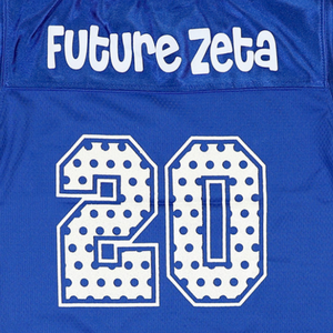 Zeta Phi Beta <b>Kids</b> Football Jersey Royal Blue 100% Polyester Embroidered Logos Number 20 V Neck Double Striped Sleeves - Product Image 5