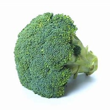 Raw Fresh Broccoli Cruciferous Vegetable for Sale at Farm Prices
