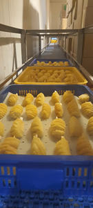 Trozos de Piña Congelada Dulce de Vietnam para Líneas de Producción de Bebidas en Todo el Mundo - Product Image 4