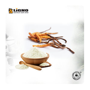 Malaisie LiGNO OCS02 ®   Poudre de Cordyceps Complément Alimentaire Fonctionnel Santé et Vitalité OEM ODM Prêt Nutraceutique Premium - Product Image 1