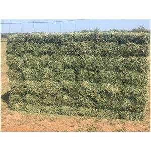Heno de alfalfa a granel para granjas lecheras, ganado vacuno, caballos, cabras y aves de corral, con contenido nutricional garantizado y larga duración. - Product Image 1
