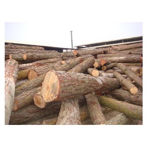 Troncos de madera de pino descortezado: madera para pulpa, biomasa y producción de energía - Product Image 5