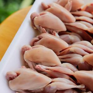 Caille congelée fraîche et naturelle disponible en vrac emballage d'exportation de gros approvisionnement en viande authentique de qualité supérieure - Product Image 6